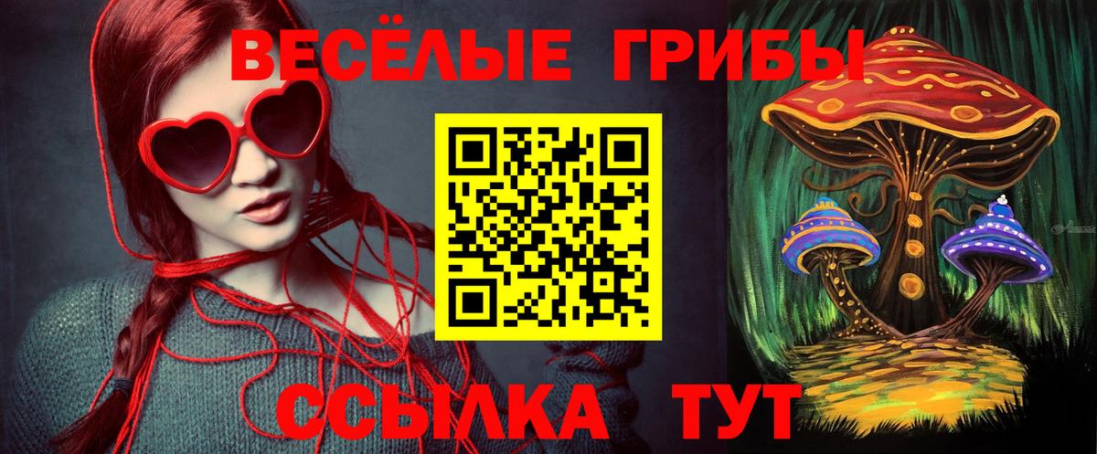 Галлюциногенные грибы Magic Shrooms Богородск